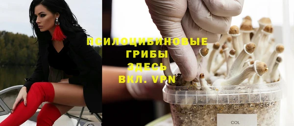ГАЛЛЮЦИНОГЕННЫЕ ГРИБЫ Анива