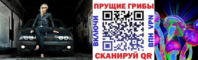 Псилоцибиновые грибы ЛСД  сколько стоит  MEGA tor  Торопец 